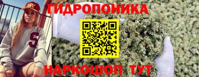 индика Будённовск