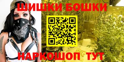 индика Будённовск