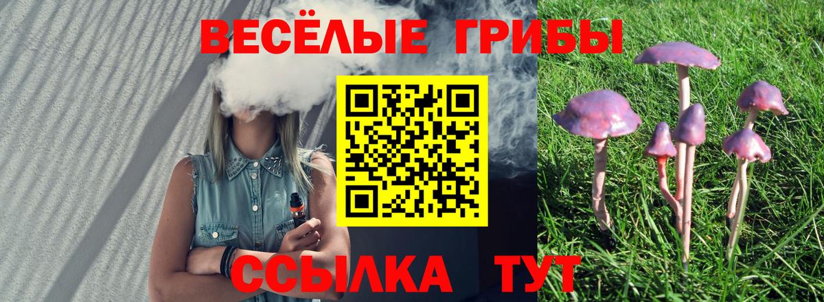 Галлюциногенные грибы Psilocybine cubensis Новоуральск