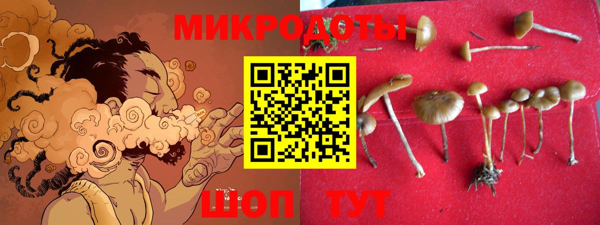 Новоуральск  Галлюциногенные грибы прущие грибы  Вход с VPN 